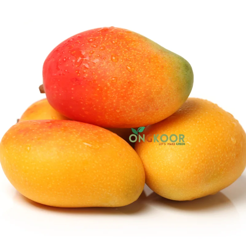 1-American-Red-Palmar-plant-by-Ongkoor-(Big)