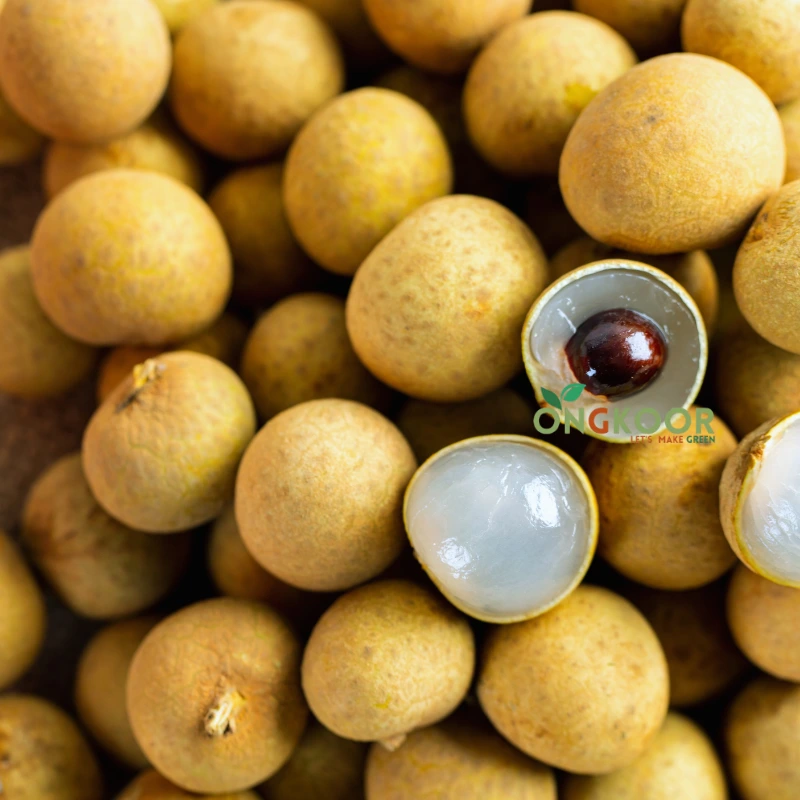 Ruby Longan রুবি লংগান ফল গাছ (1) (1)