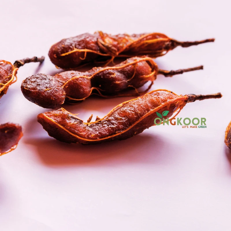 Sweet Tamarind মিষ্টি তেঁতুল গাছ (1)