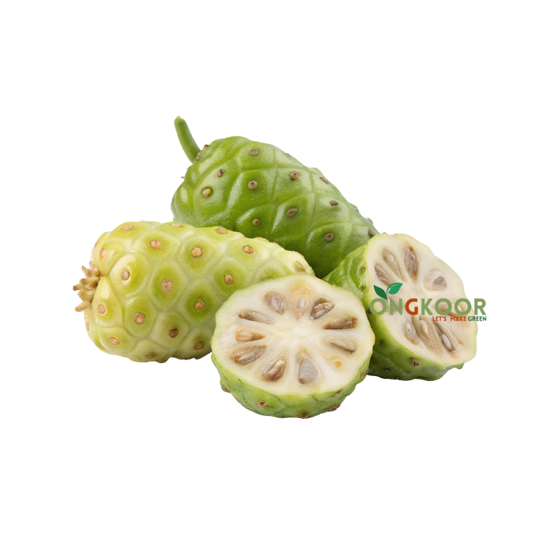 Noni Fruit