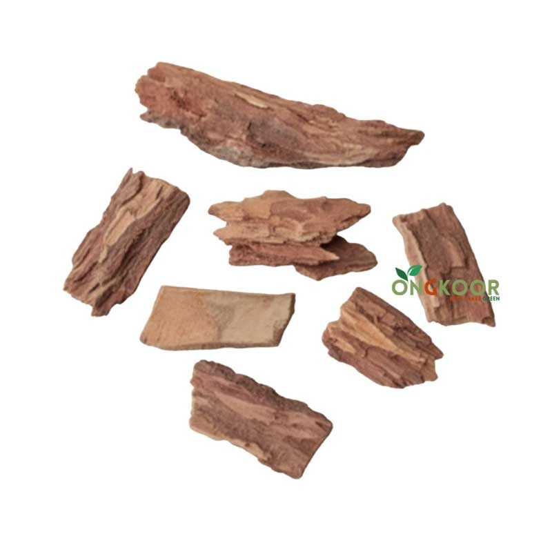 Arjun Tree অর্জুন গাছ Terminalia Arjuna - Image 2