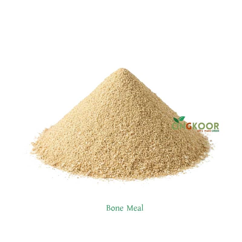 Bone Meal হাড়ের গুড়া - Image 2