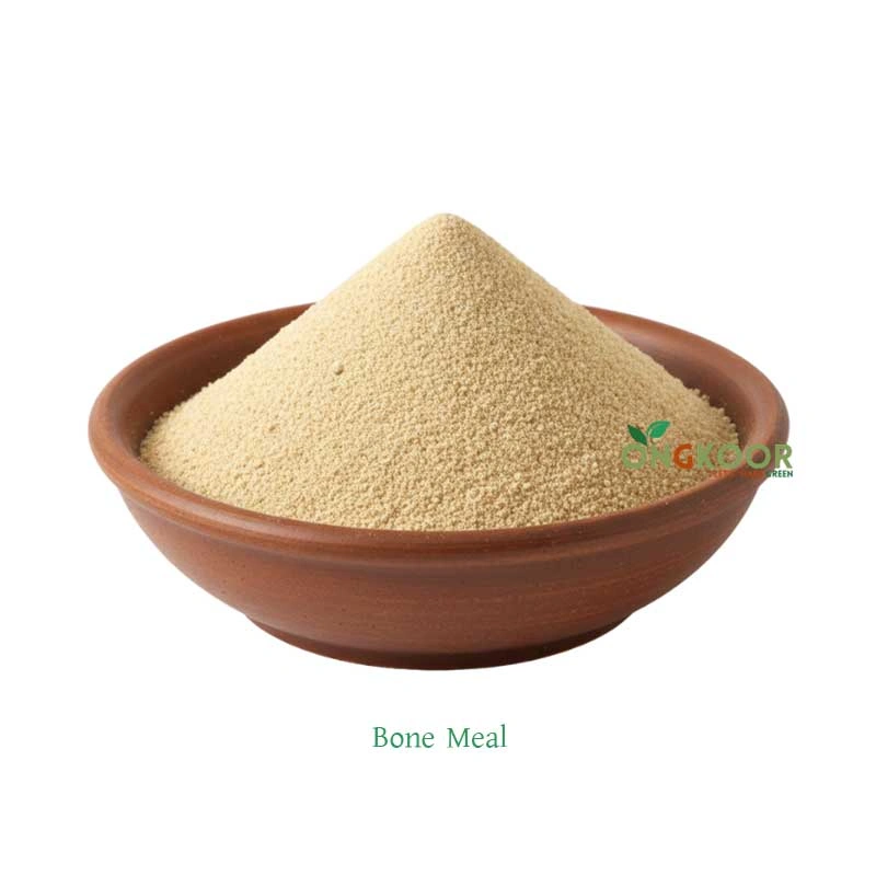 Bone-Meal